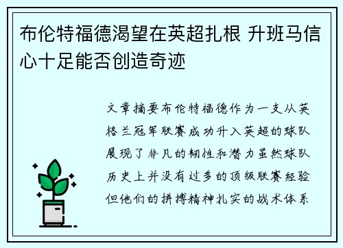布伦特福德渴望在英超扎根 升班马信心十足能否创造奇迹